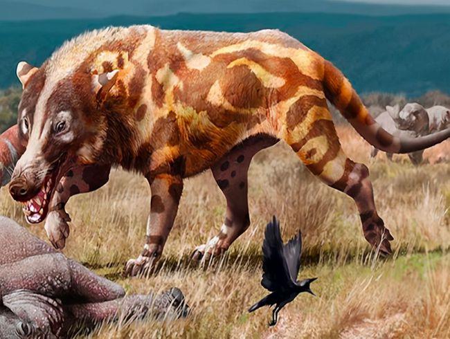 为什么300万年前的史前动物会出现在《山海经》上面,难道真的只是