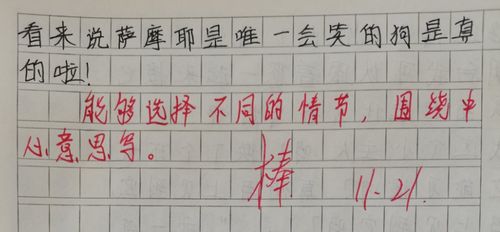 好斗的大公鸡