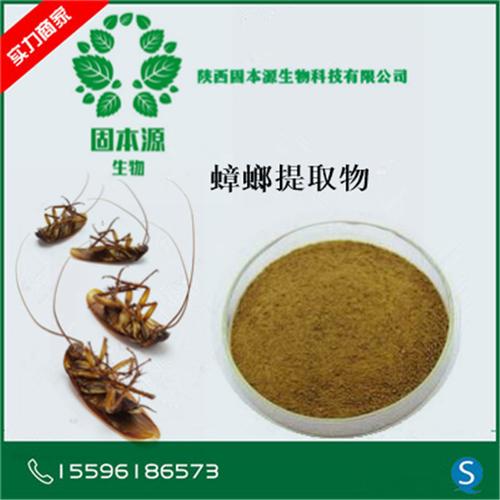 蟑螂提取物 蟑螂粉 喷雾干燥 速溶 厂家直销 现货包邮