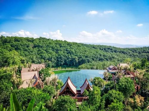 每当人们走进西双版纳万达文华度假酒店,就会被我们温顺美丽的孔雀