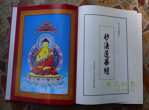 免费结缘精装妙法莲华经空心字抄经本手抄本简体拼音版佛经临摹本