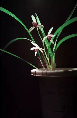 闲境| 室有兰花不炷香