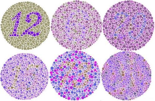 你是色盲吗?进来做测试吧,会有意想不到的结果