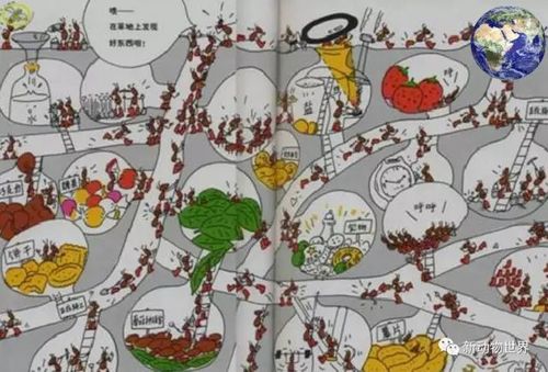 如果把蚂蚁的巢穴纵向切开,你会发现那简直是一座豪华的地下宫殿
