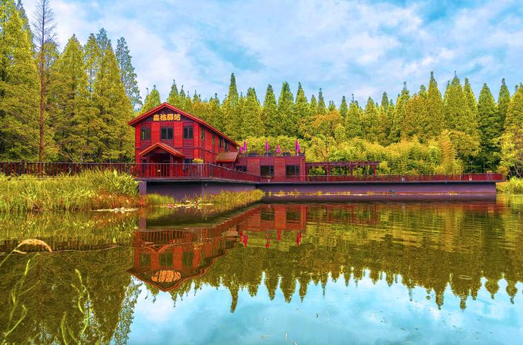 盐城东台黄海森林公园门票绿色氧吧大面积森林覆盖养生休憩