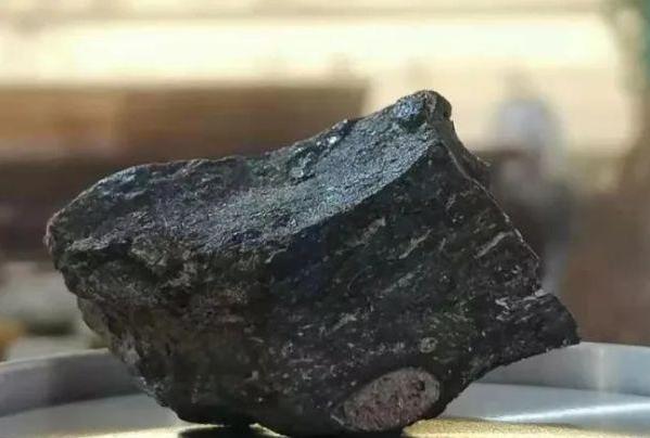 鲸排泄物龙涎香数量巨大,为什么比"黄金"还贵?