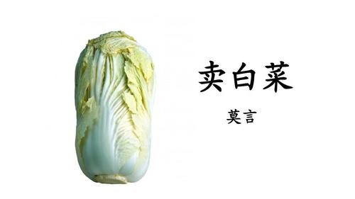 《卖白菜》课件(共43张ppt)