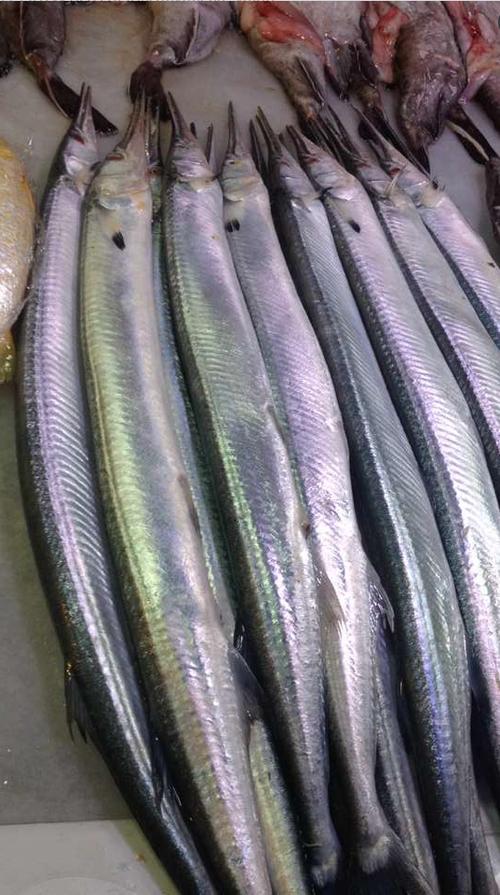 针亮鱼怎么做好吃 - 郭亮大侠 - 郭亮大侠欢迎您!