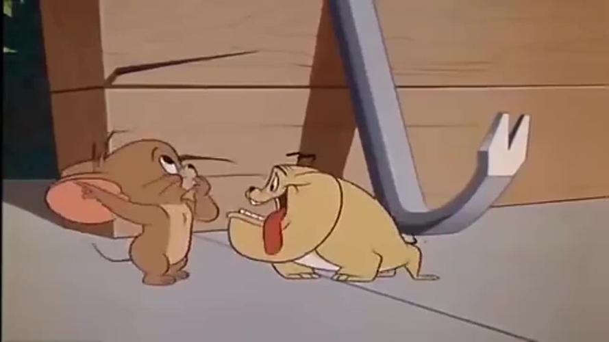 猫和老鼠大狗要杀老鼠没想到老鼠变异真可怕