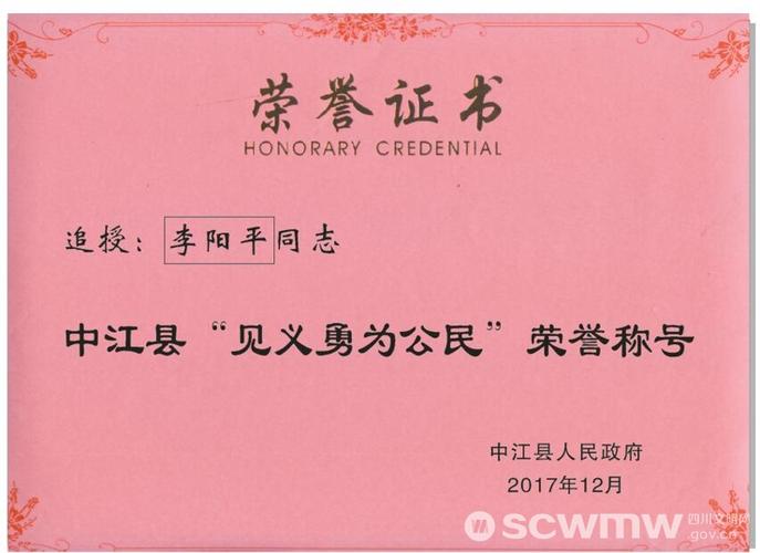 李阳平荣誉证书
