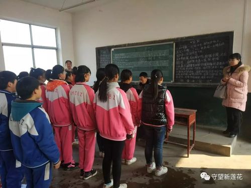 莲花镇中心校领导到莲花二中指导检查工作