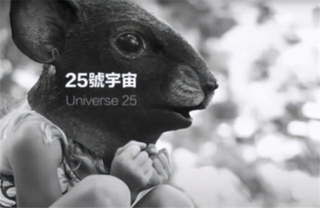 "老鼠乌托邦",一个细思极恐的实验,或许预示了人类的未来?