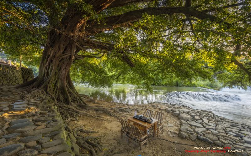 榕树下|摄影|风光摄影|土楼土著 - 原创作品 - 站酷