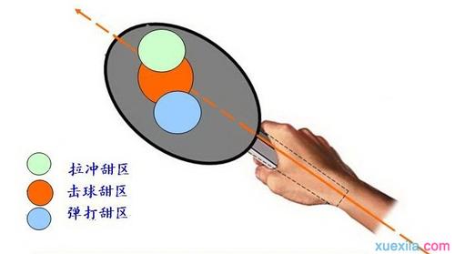 乒乓球拍中最佳击球部位