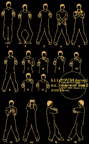 咏春拳之寻桥图谱及拳式说明 - 武术万维网 - 武术万维网