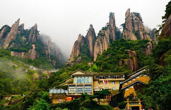 天气网 天气头条 > 正文 黄山厥菜▼       三清山2005年9月被列为