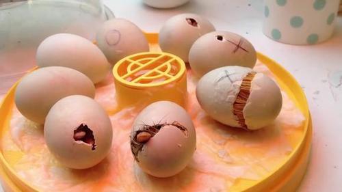 实拍大型鸭蛋孵化工厂,鸭蛋中高温孵化28天后,小鸭从蛋壳里出来