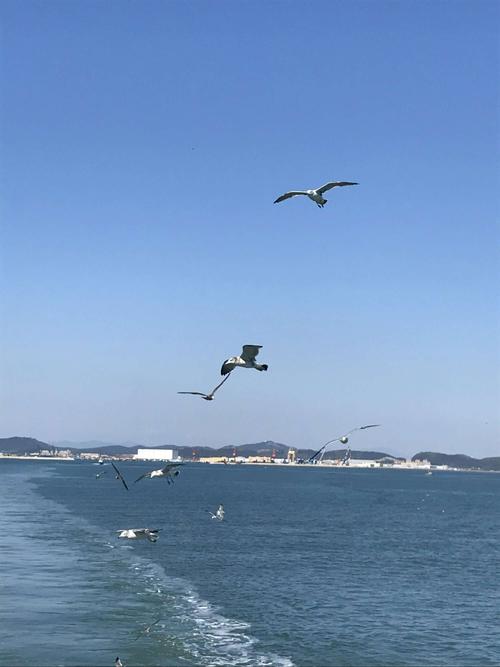 美好时光 ____2018年国庆长假