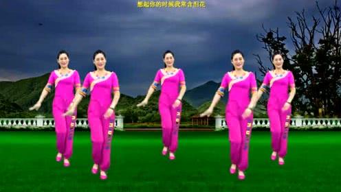 陕北民歌广场舞《荞麦花》柔美舞步,欢快轻盈,醉人好听又好看