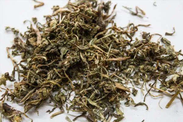 蒲公英根泡水喝的功效和作用蒲公英根泡水喝的禁忌有哪些