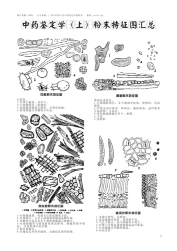中药鉴定学(上)粉末特征图汇总