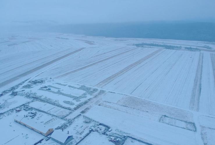黑龙江漠河迎降雪 现绝美"雪挂"景观