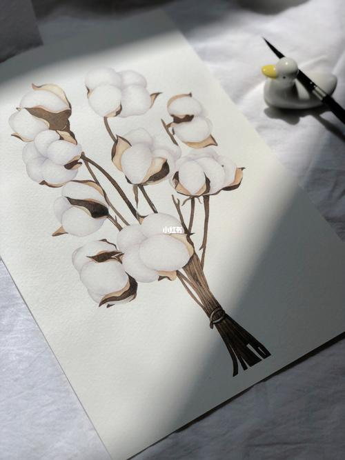 水彩  |  最美新疆棉_水彩画_新疆棉花_文化_绘画
