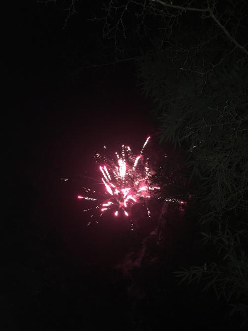 头顶的夜空有烟花缤纷着绽开,在黑色天际绽放着刹那芳华.