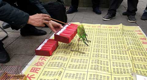 求神算
