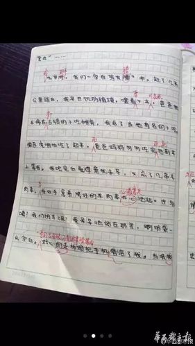 六年级男生霸气写早恋作文,老师给出的4条点评亮了