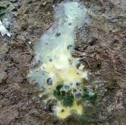 鸡拉稀的原因分析与处理办法.