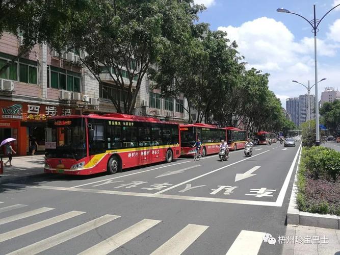 又一年高考,【梧州】又有"大头虾"考生忘记带证件 去错考点