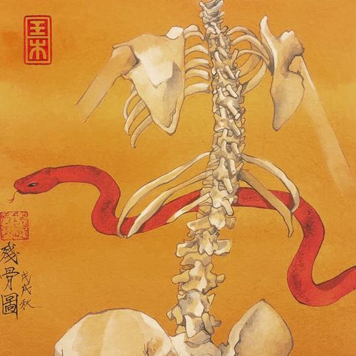  灵感来源于佛教九相图.
