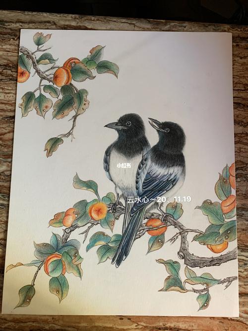 彩铅画～喜鹊_彩铅_文化_绘画
