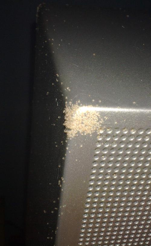 电话等等,凡是和塑料有关的,都在塑料上布满了白色的小虫子,成千上万