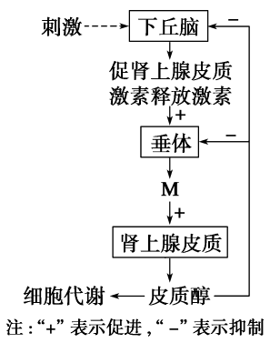 ①胰岛素分泌量对血糖浓度的影响