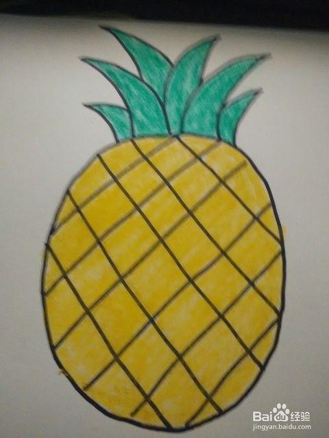 幼儿简笔画——菠萝
