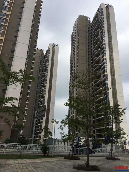 深圳坪山15栋大型回迁房——竹韵花园 17800元起