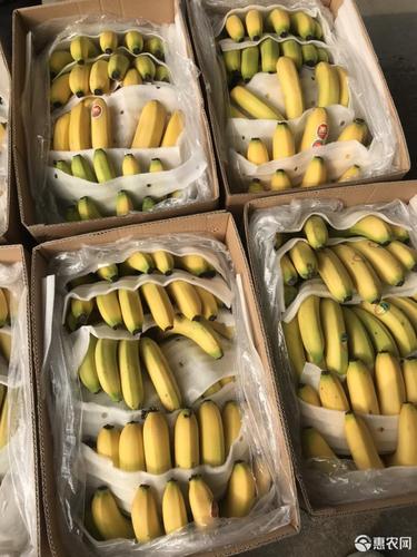 [巴西香蕉批发] 香蕉价格120元/箱 - 惠农网