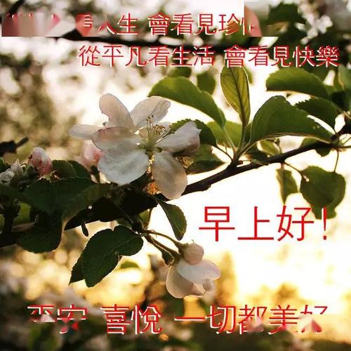 三月初五早上好祝福语早上漂亮图片表情问候