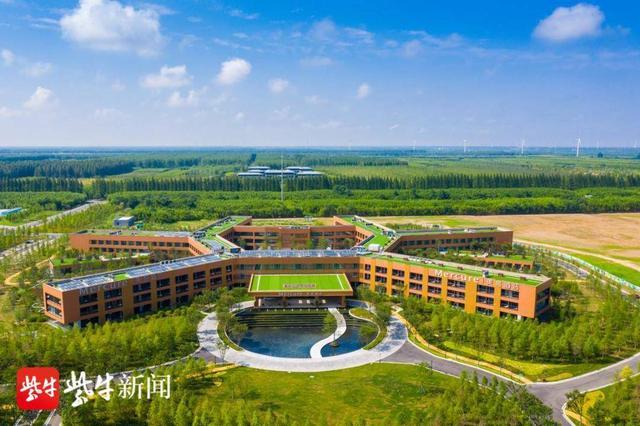 东台黄海国家森林公园:红色基因涵养绿色宝藏