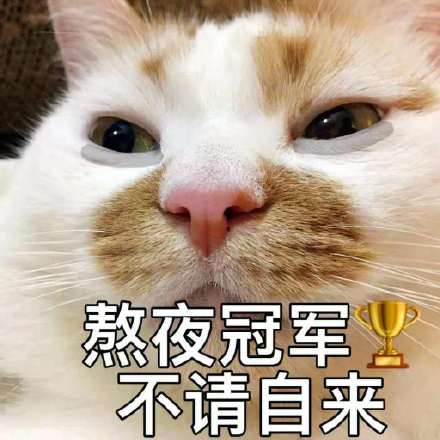 熬夜冠军 不请自来 - 守夜冠军 - 表情包热图