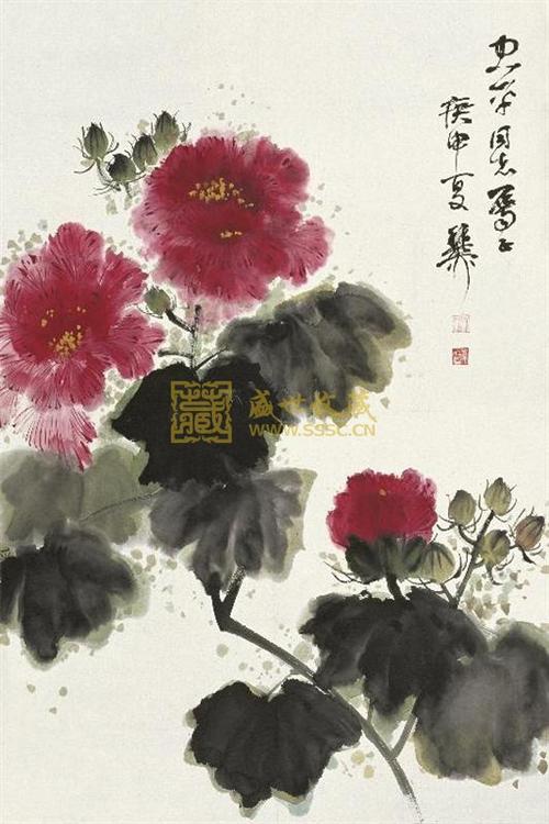 芙蓉花 