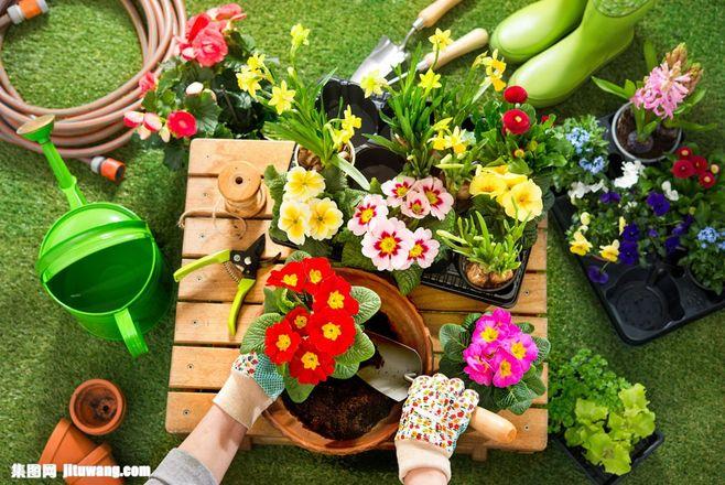 花园园艺花盆图片素材