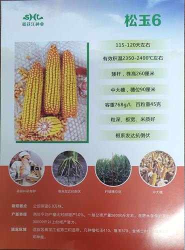 其它 "玉米霸主 "松玉6 写美篇 品种主要性状: 1,生育期 :出苗至成熟