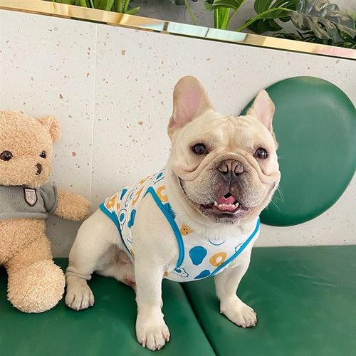 牌英狗服心宠饰哥服斗衣潮眼犬夏薄法小八斗r牛型巴背犬狗物款网