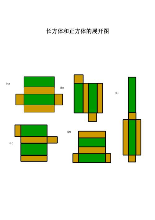长方体和正方体的所有展开图