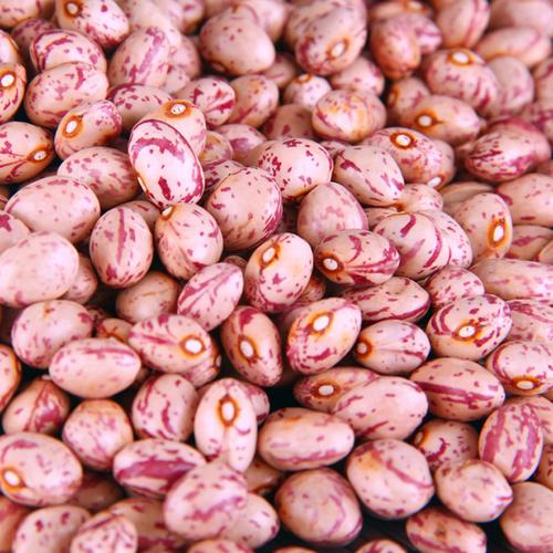花饭豆奶花豆花芸豆花斑豆熊猫豆花豇豆新豆五谷杂粮散装批发