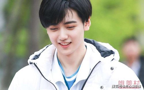 然而,搜索"焉栩嘉女朋友"话题后,出现的是刘些宁的名字.