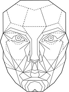 脸部黄金比例